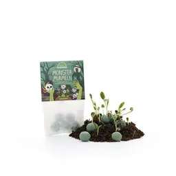 Die Stadtgärtner Die Stadtgärtner 5 Blumenmurmeln im Tütchen "Monstermurmeln" - Geschenk & Giveaway für Halloween – Produktbild 1 von 1