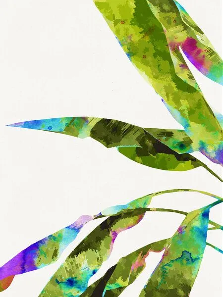 Photocircle Photocircle Poster / Leinwandbild - Banana Leaves Holi – Produktbild 1 von 4