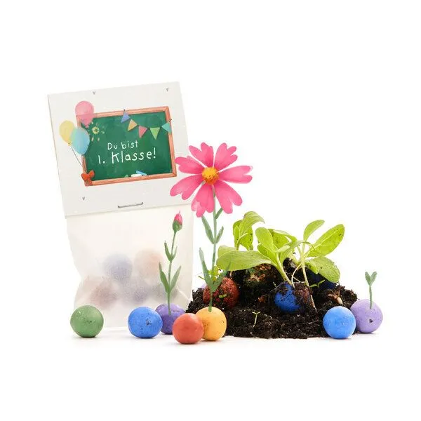 Die Stadtgärtner Die Stadtgärtner 5 bunte Blumenmurmeln im Tütchen mit Wildblumensaatgut | Geschenkidee zur Einschulung, Schulanfang, für Schultüte | "Du bist 1. Klasse" – Produktbild 2 von 4