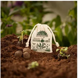 Die Stadtgärtner Die Stadtgärtner Seedbombs Wildkräuter I 8 Handgemachte Samenbomben mit 6 Kräutersamen – Produktbild 1 von 1