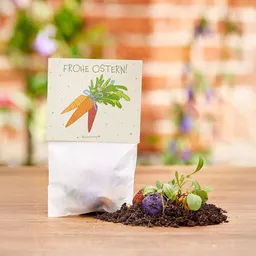 Die Stadtgärtner Die Stadtgärtner 10x5 Blumenmurmeln im Tütchen "Möhren" I Ostergeschenk für Kinder I Kleinigkeit zu Ostern I Geschenk zu Ostern I Kleine Geschenk für Osternest oder Osterkörbchen – Produktbild 1 von 1