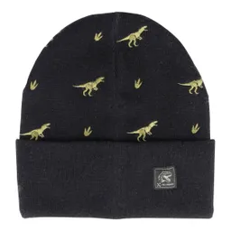 Maximo Maximo Winter-Strickmütze Dinos – Produktbild 1 von 1