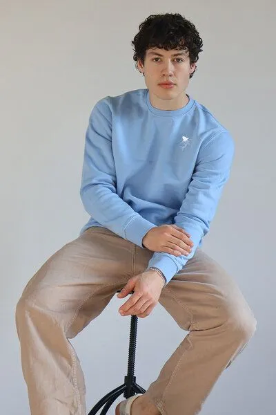 Kultgut Kultgut Biofair - Supersoft Sweatshirt - Pullover / Little Shark, Hellblau, – Produktbild 1 von 4