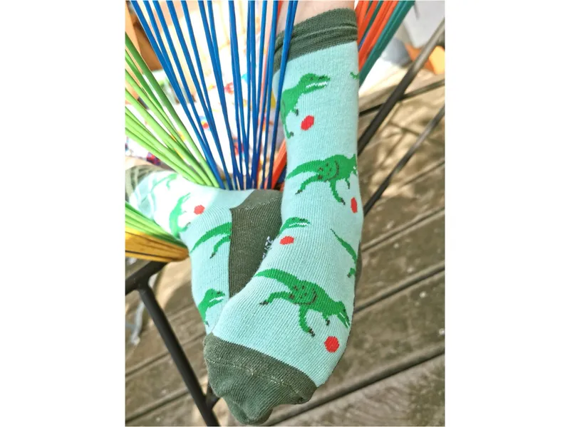 Fräulein Prusselise Baby- und Kindersocken Dino Gr.31/34, Mehrfarbig, – Produktbild 2 von 2