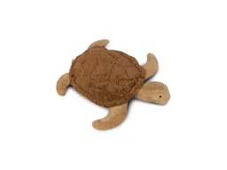 Senger Naturwelt Senger Naturwelt Kuscheltier Schildkröte 35 x 6 x 31 cm (klein) – Produktbild 1 von 1