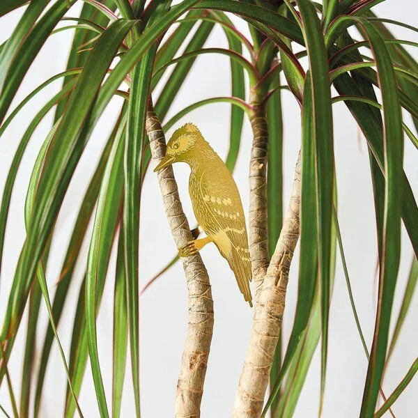 another studio another studio Plant Animal - Design Pflanzendekoration - Figuren aus Messing, Specht, – Produktbild 1 von 4
