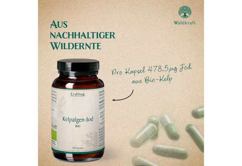 Waldkraft Waldkraft Erdling BIO Kelpalgen-Jod Kapseln, Hochdosiert mit 478,5 µg Jod – Bio-zertifiziert & Vegan à 120 St., 78 g – Produktbild 4 von 5