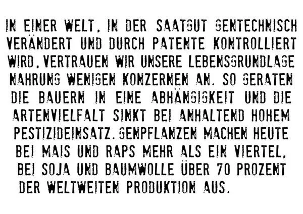 Lena Schokolade Lena Schokolade Sleeve Shirt "Aufklärer", Schwarz, – Produktbild 2 von 4