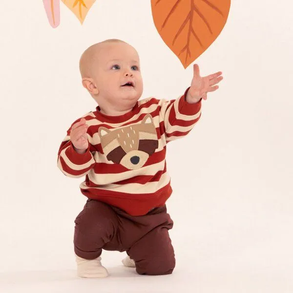 Sense Organics Sense Organics Baby Sweatshirt, Modell SIAM, Terrakotta geringelt mit waschbär, – Produktbild 2 von 4