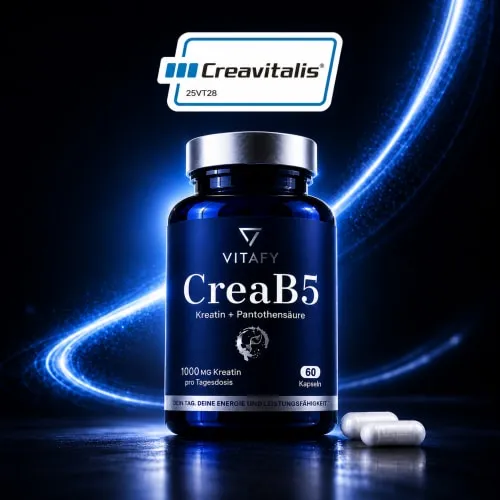 VITAFY VITAFY CreaB5 Energie Formel (60 Kapseln) – Produktbild 1 von 1