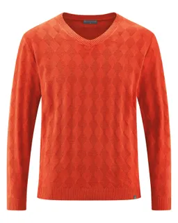 HempAge Hempage Herren vegan Pullover Mit V-Ausschnitt Ziegelorange – Produktbild 1 von 1