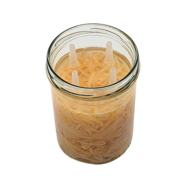 mikken mikken Fermentier Set - 4 x Fermentierglas mit Fermentier Gitter, Holzstößel und Deckel PVC-frei – Produktbild 4 von 4