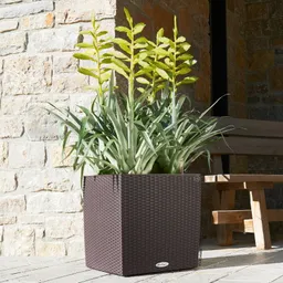 Lechuza® Lechuza® 'Cube Cottage 40', mokka, ca. 39 x 39 x H 40 cm – Produktbild 1 von 1