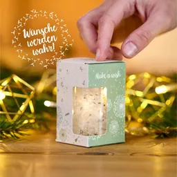 Die Stadtgärtner Die Stadtgärtner Wunscherfüller mit Pusteblumen-Schirmchen I Geschenk für Mama, Freundin, Ehefrau zu Geburtstag und Weihnachten – Produktbild 1 von 1