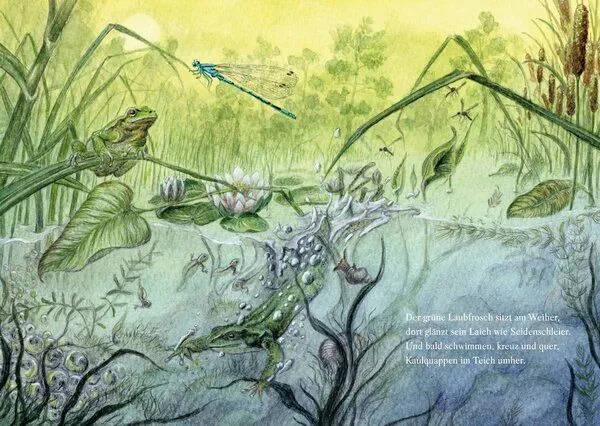 WachsMalBlöckchen WachsMalBlöckchen Es wird Sommer im Wichtelwald - Pappbilderbuch – Produktbild 2 von 3