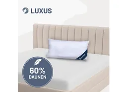 casimum Daunenkissen LUXUS Daunenkissen 80x80, Kissen 40x80, hergestellt in Deutschland, Füllung: 60 % Daunen / 40% Federn, Klasse 1, Downpass zertifiziert, Bezug: 100 % Baumwolle, Seitenschläfer, Rückenschläfer, hergestellt in Deutschland, für Allergiker geeignet, 80x80cm & 40x80cm – Produktbild 1 von 1