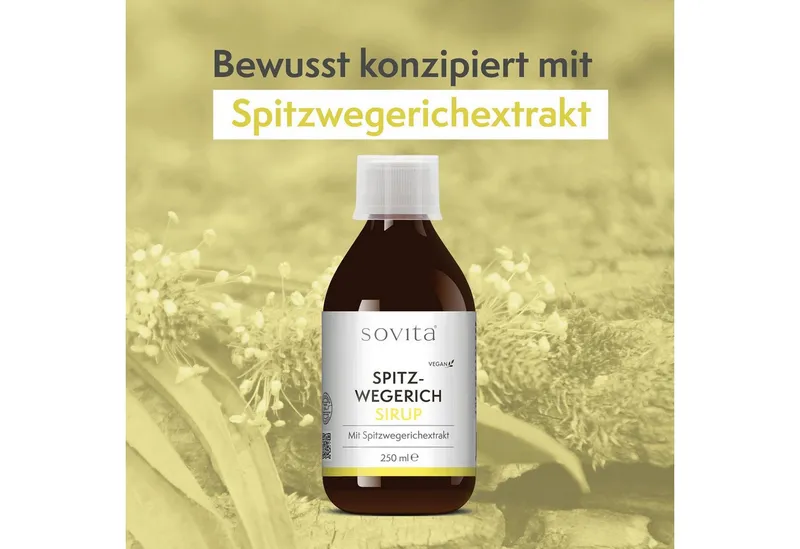 Ascopharm Ascopharm sovita Spitzwegerich Sirup, 250 ml mit Extrakt und Pfefferminzöl vegan 1, 1 er – Produktbild 4 von 5