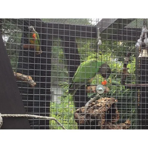 Kork-Deko Kork-Deko 3er Set Vogel-Sitzbrettchen aus Naturkork-Rinde – Produktbild 4 von 6