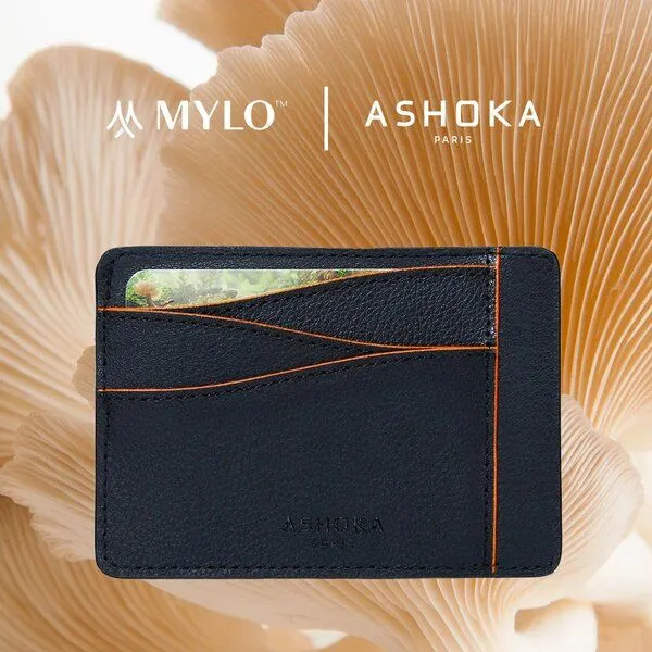 Ashoka Paris Ashoka Paris Großes Kartenetui aus Pilzleder Mylo Orange – Produktbild 1 von 4