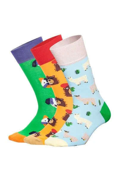 DillySocks DillySocks Socken „Paws & Friends Mit Geschenkbox“, Mehrfarbig, – Produktbild 1 von 4