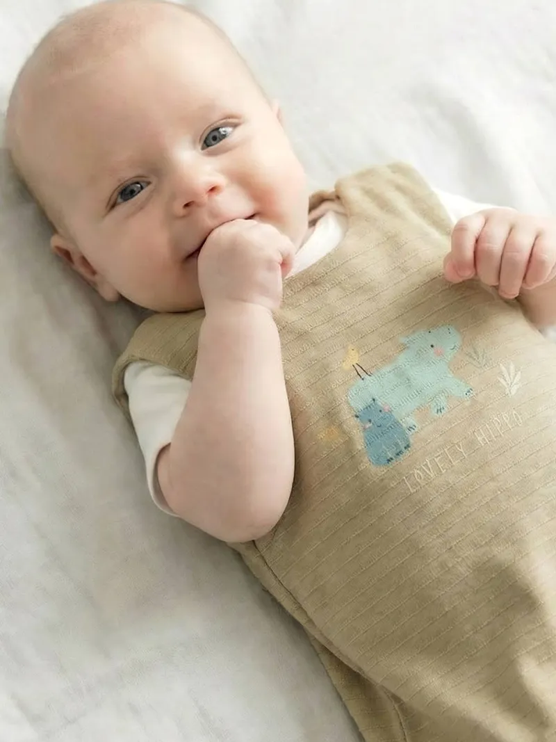 Vertbaudet Ärmelloser Baby Schlafsack mit Nilpferd BAYOU TOG 2, Grün, – Produktbild 1 von 4