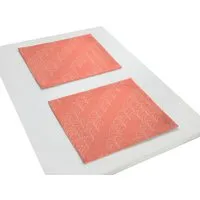 Nature by Adam Nature by Adam Tischset 2er Pack aus 100% Bio-Baumwolle - Made in Germany - Argentinian Criolla light, Orange, – Produktbild 1 von 1