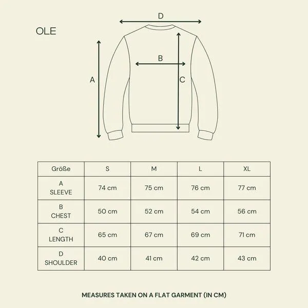 NORDLICHT NORDLICHT Herren Grobstrick Sweater Ole aus 100% Baumwolle, Hellgrün (grün), – Produktbild 4 von 4