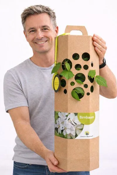SchenkeinBäumchen SchenkeinBäumchen Birnbaum – Produktbild 2 von 4