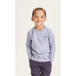 KnowledgeCotton Apparel KnowledgeCotton Apparel Kinder Langarm-Shirt Flax Owl reine Bio-Baumwolle – Produktbild 1 von 1