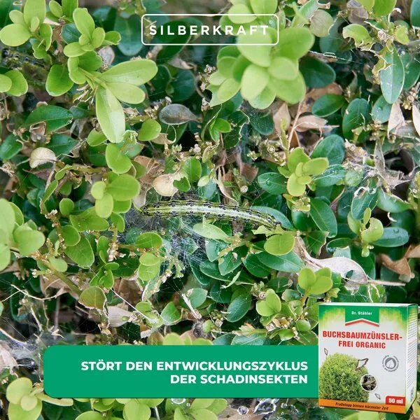 Silberkraft Silberkraft Buchsbaumzünsler-Frei Organic: Schützt effektiv vor Schadinsekten – Produktbild 4 von 4