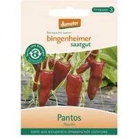 Bingenheimer Saatgut Paprika Pantos – Produktbild 1 von 2