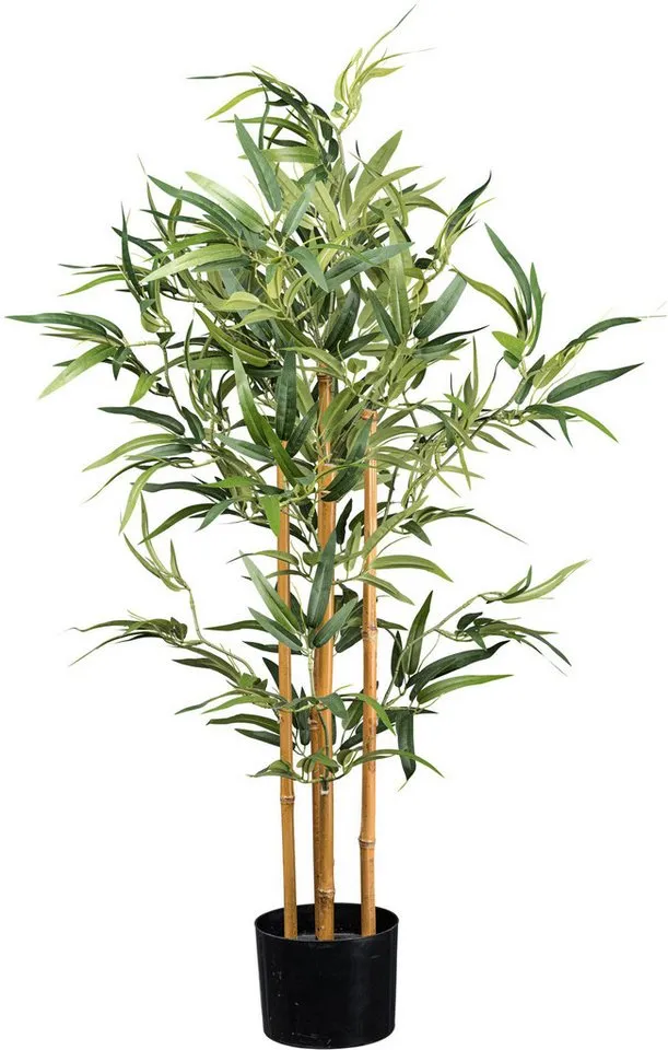 Kunstbaum Bambus Bambus, Creativ green, Höhe 105 cm, mit echten Bambusstäben, Grün, – Produktbild 1 von 2
