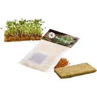 Bio-Mini-Pflanzset 'Naturflies Kresse' mit 1-4-farbigem Aufdruck – Produktbild 1 von 1
