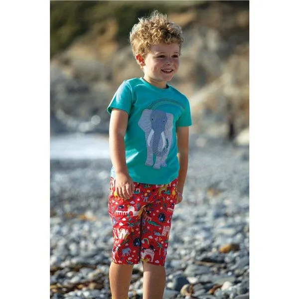 Frugi Frugi T-Shirt Elefant in Pazifik-grün Carsen Applique T-Shirt – Produktbild 2 von 3