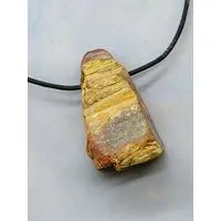 OneWorldMinerals OneWorldMinerals Versteinertes Holz, roh belassene Schmuckanhänger (entgratet) – Produktbild 1 von 1