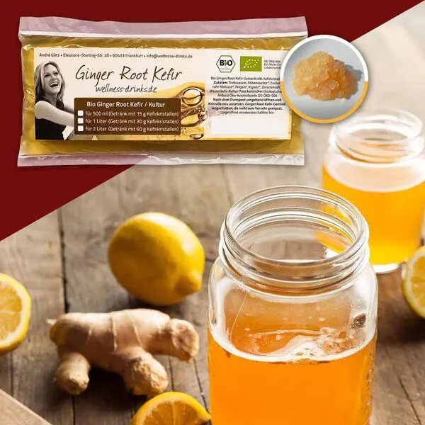 Wellness-Drinks Bio Ginger Root Kefir mit Kefirkristallen (klein) – Produktbild 2 von 4