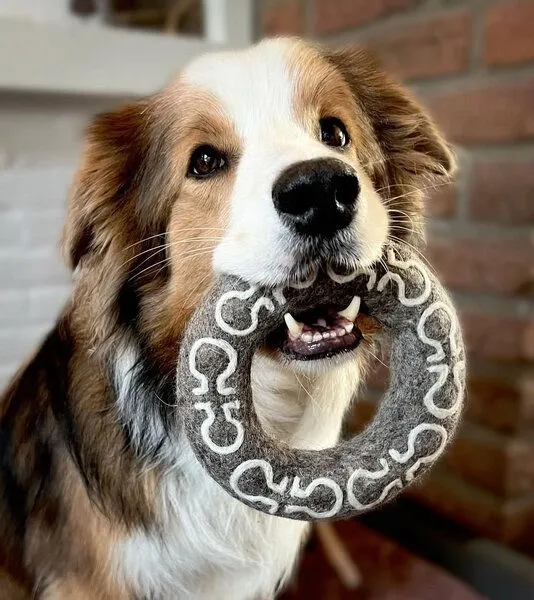 Wooliie Wooliie Hunde-Spielset aus 100 % naturbelassener Schurwolle (3er-Bundle) – Dumbbell & Ring – Produktbild 3 von 4
