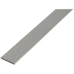 Alberts ALBERTS BA-Profil, flach, Alu natur, LxBxS 1000 x 20x 2 mm – Produktbild 1 von 1