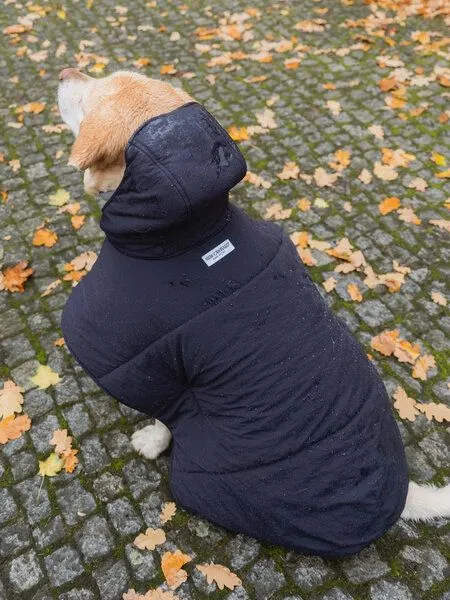 New Orchard New Orchard Dog Hoodie, Navy, – Produktbild 4 von 4