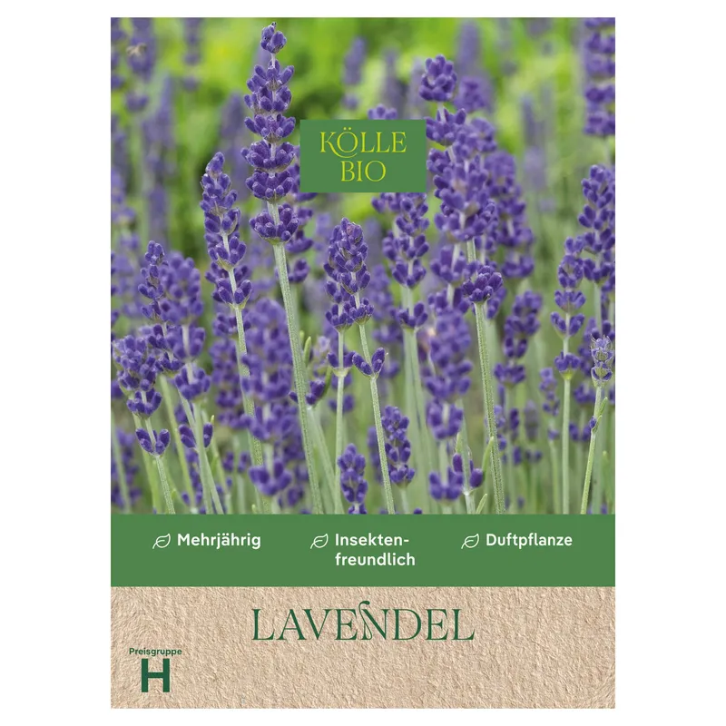 Kölle Bio Kölle Bio Saatgut Lavendel, Lila, – Produktbild 1 von 1