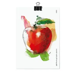 531 Rheinland Design 531 Rheinland Design Postkartenset von 16 Obst und Gemüsesorten: Geschenkkarten – Produktbild 1 von 1