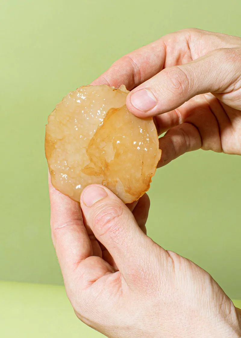 KoRo Bio Kombucha Scoby – Produktbild 5 von 5
