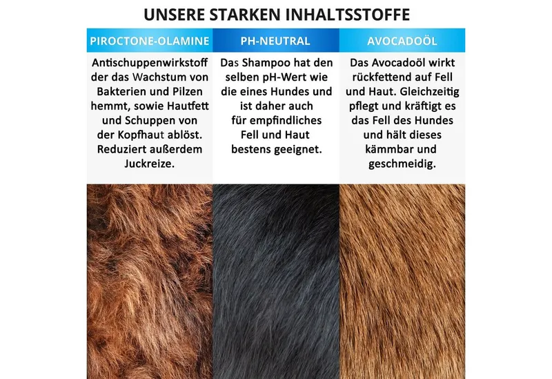 healthBuddy Tiershampoo Premium Hundeshampoo mit natürlichem Avocadoöl, 500 ml, (Packung, – Made in Germany – Entfernt unangenehme Gerüche), Für empfindliche Haut und Fell, Rückfettend, gegen Juckreiz und Flöhe – Produktbild 4 von 5