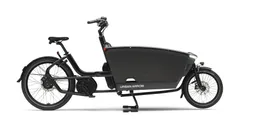 Urban Arrow Urban Arrow FamilyNext Pro - 20/26 Zoll 800Wh ABS Enviolo Lastenrad – Produktbild 1 von 1