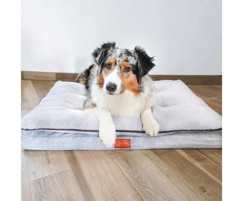 Wahre Tierliebe Tierbett - Premium Hunde Kissen "Easy" - orthopädisch und flauschig -, 100% Polyester, Braun, – Produktbild 5 von 5