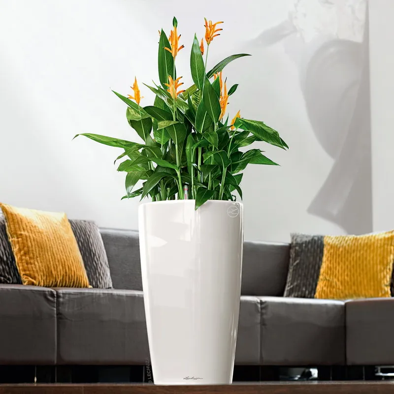 Lechuza® Lechuza® 'Rondo Premium 32', weiß, ca. Ø 33 x H 56 cm, Weiß, – Produktbild 1 von 1