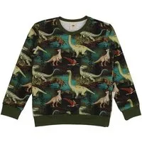 Walkiddy Walkiddy Dinasour Jungle-SweatshirtBio-Baumwolle aus 95% Baumwolle -green- GOTS-Zertifiziert – Produktbild 1 von 1