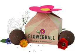 Blumensamen 'Flowerbomb Blumenwiese' inkl. 1-4-farbigem Aufdruck – Produktbild 1 von 1