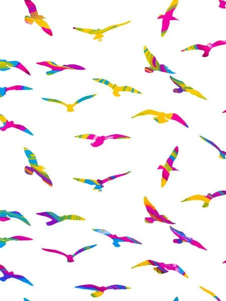 Photocircle Photocircle Poster / Leinwandbild - Wild & Free – Produktbild 1 von 4