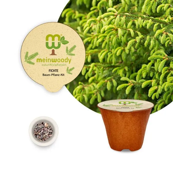 meinwoody meinwoody Baum-Pflanz-Set – Produktbild 3 von 8